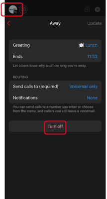 Away Greeting Settings Webex
