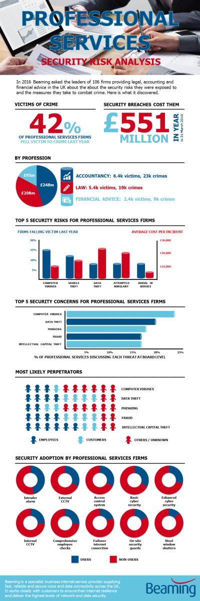 Professional Services security risk infographic